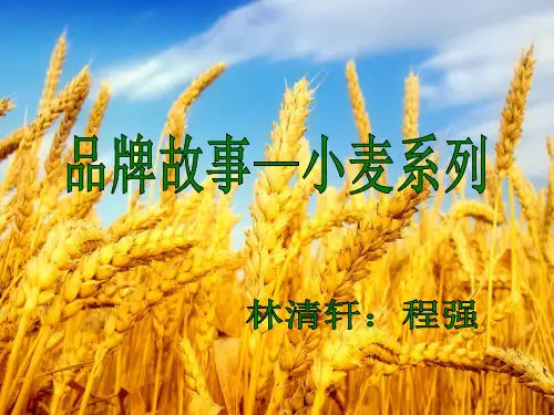 林清轩品牌故事