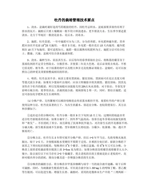 牡丹的栽培管理技术要点