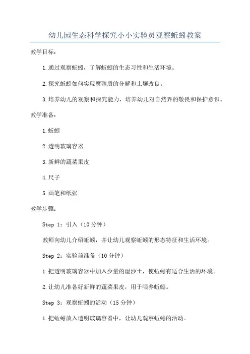 幼儿园生态科学探究小小实验员观察蚯蚓教案