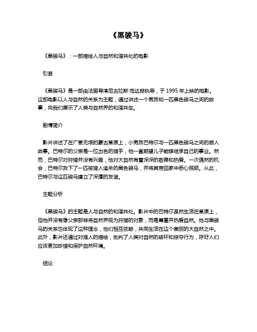 《黑骏马》