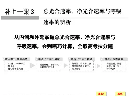 总光合速率、净光合速率与呼吸速率的辨析