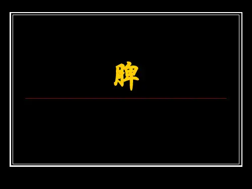 肝胆影像诊断 (4)