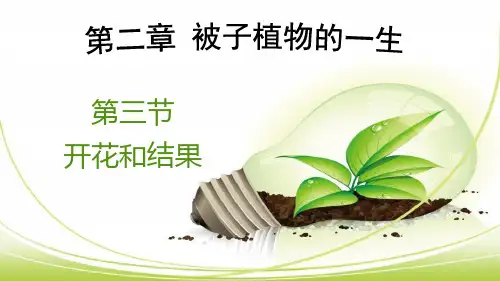3.2.3 开花和结果同步课件(共27张ppt)人教版七年级上册生物