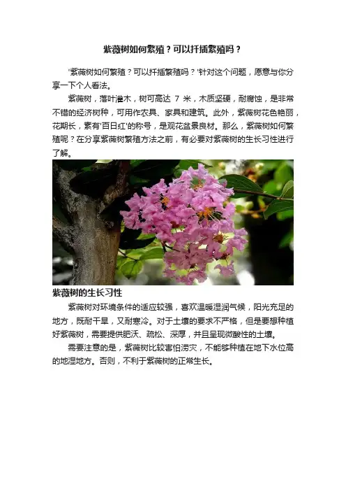 紫薇树如何繁殖？可以扦插繁殖吗？