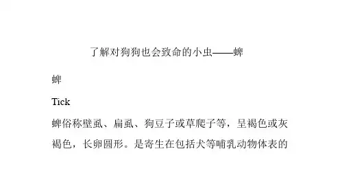 了解对狗狗也会致命的小虫——蜱