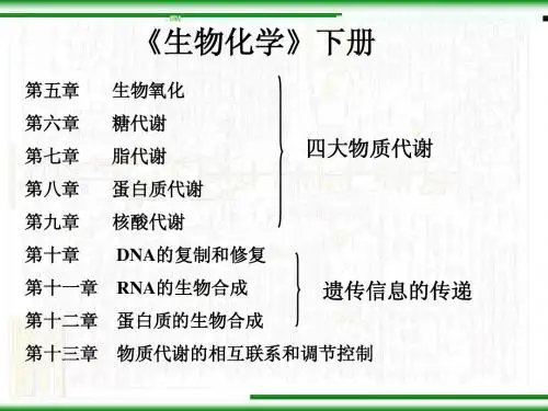 第五章 生物氧化