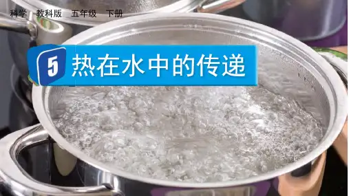 教科版小学五年级科学下册第四单元5 热在水中的传递课件
