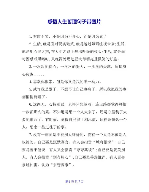 感悟人生哲理句子带图片