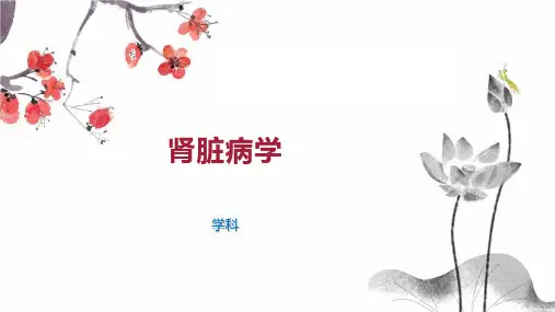 肾脏病学    