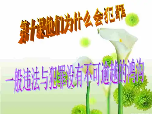 违法犯罪的区别