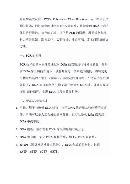 PCR Protocol