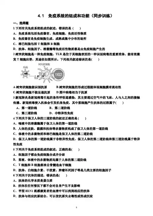 4.1  免疫系统的组成和功能(同步训练)(附答案)—高二上学期生物选择性必修1