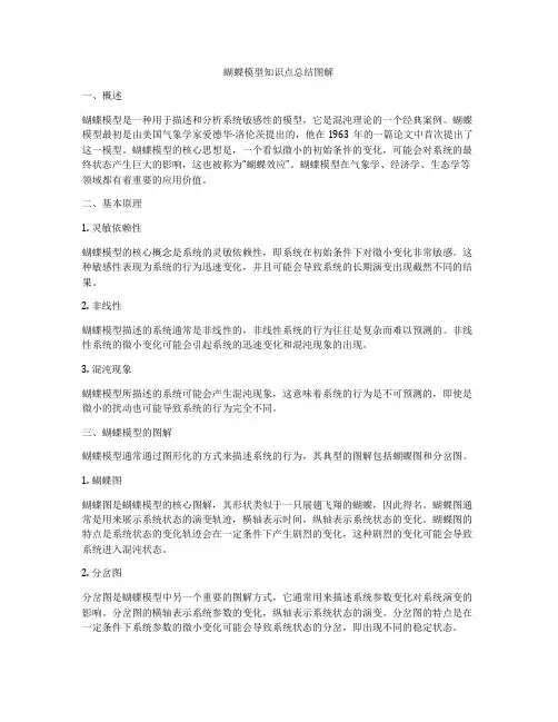 蝴蝶模型知识点总结图解