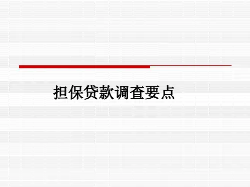 担保贷款调查要点