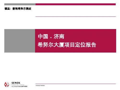 济南希努尔大厦项目定位报告