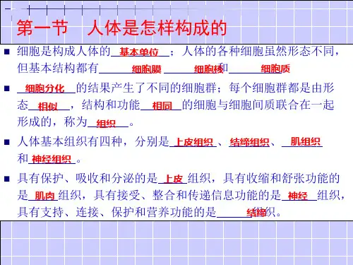 沪教版生物第一册课件：1.1人体是怎样构成课件(共19张PPT)