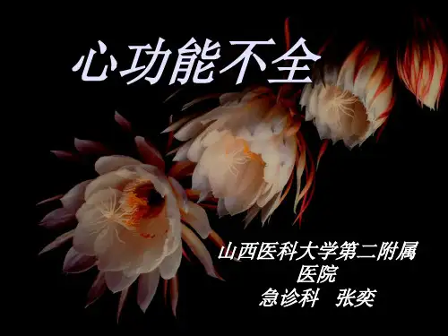 心功能不全 PPT课件