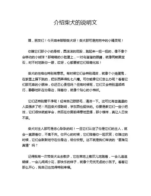 介绍柴犬的说明文