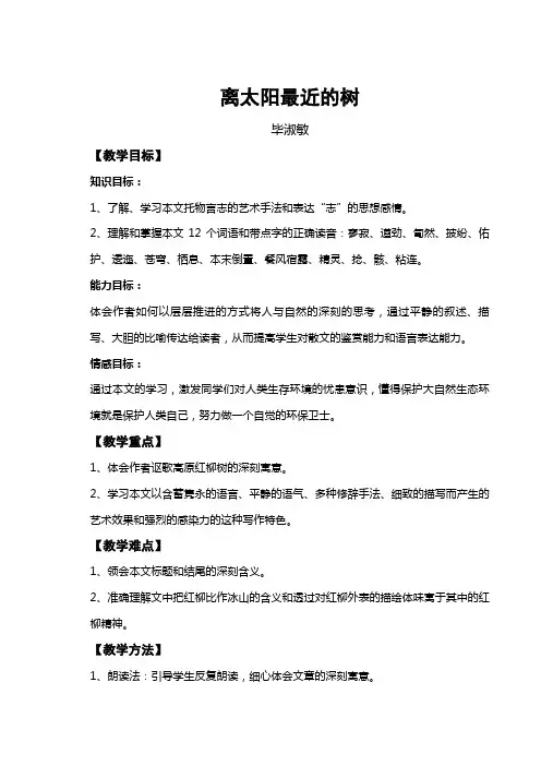 离太阳最近的树