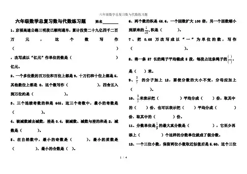 六年级数学总复习数与代数练习题
