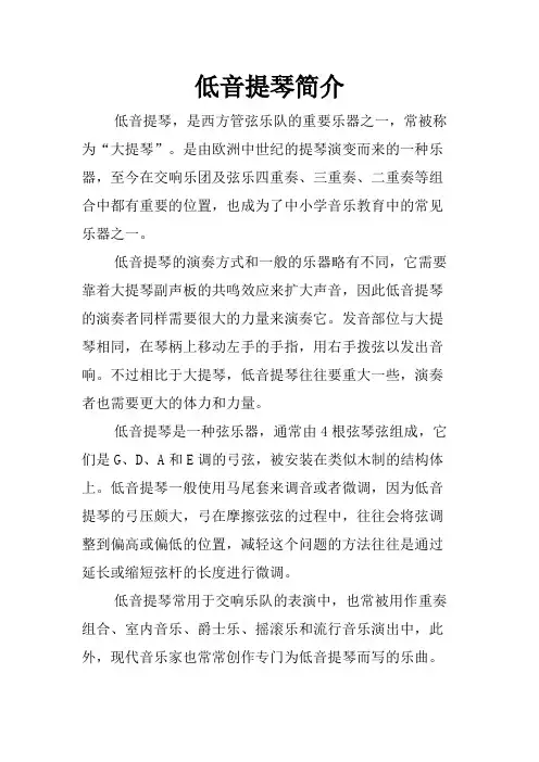 低音提琴简介