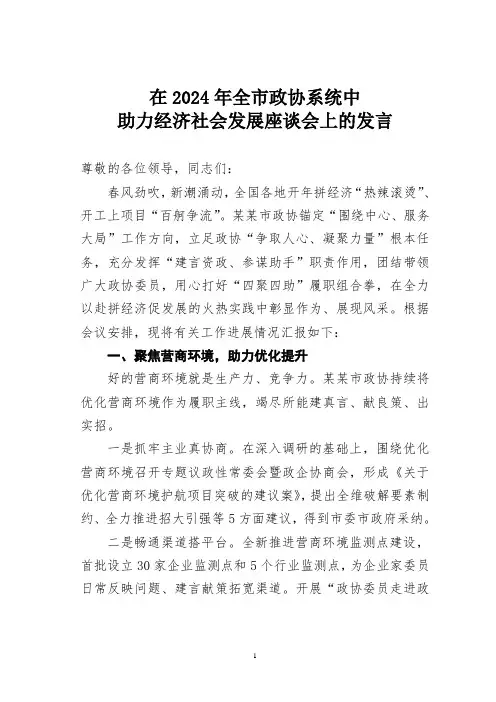 在2024年全市政协系统中助力经济社会发展座谈会上的发言