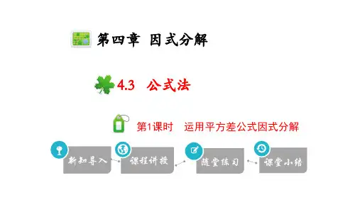 北师大版八年级数学下册4.运用平方差公式因式分解精品课件
