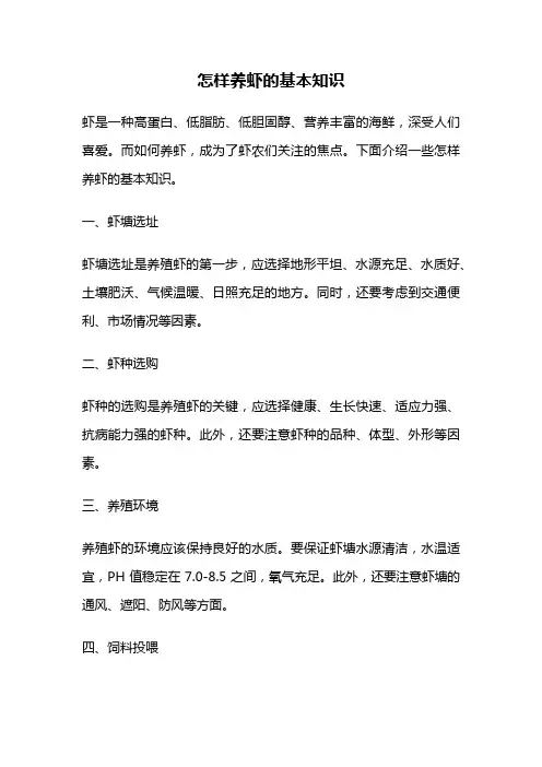 怎样养虾的基本知识