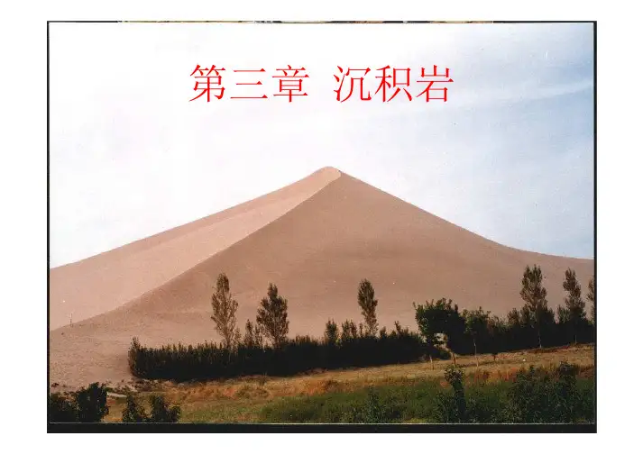综合地质课件——沉积岩