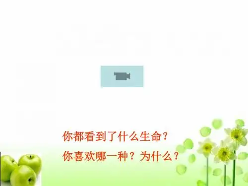 世界因生命而精彩.ppt