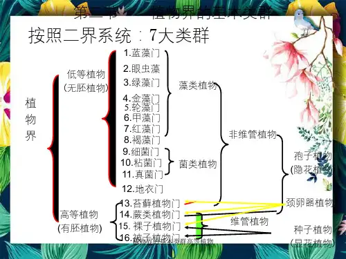 植物界的基本类群高等植物