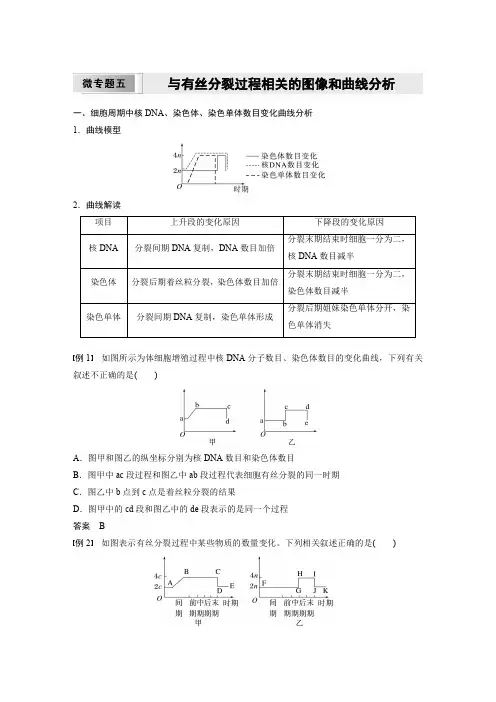 高中生物(必修第一册 人教版)讲义教案：与有丝分裂过程相关的图像和曲线分析(含答案)
