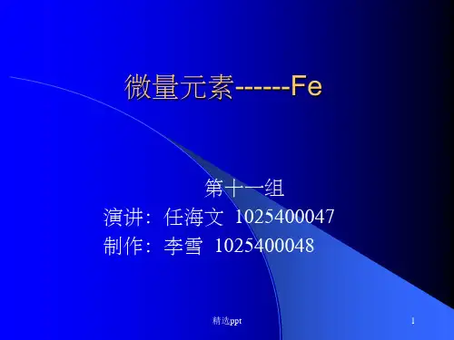微量元素-铁ppt课件