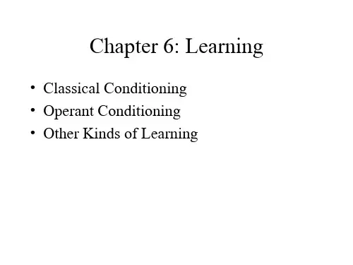 古典制约(classical