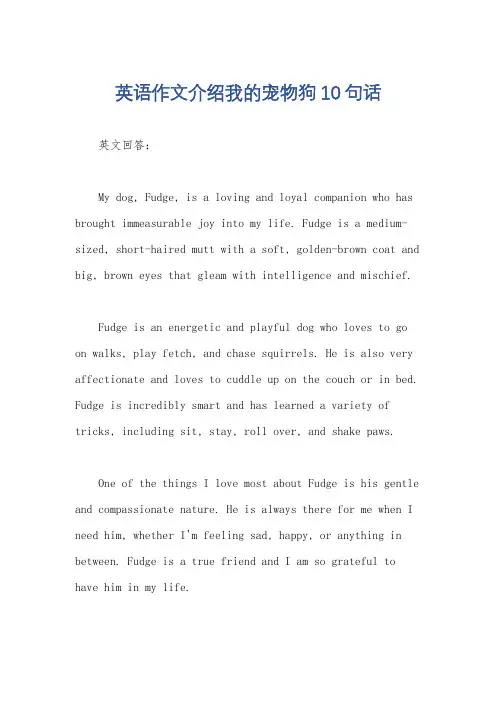 英语作文介绍我的宠物狗10句话