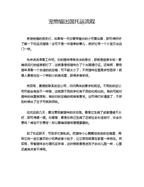 宠物猫出国托运流程