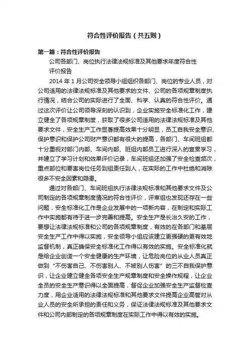 符合性评价报告（共五则）