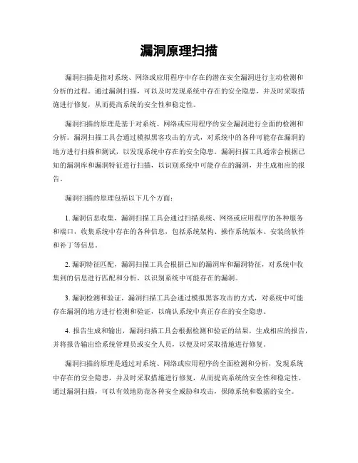 漏洞原理扫描