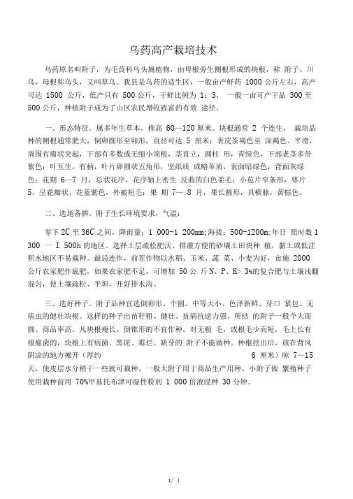乌药高产栽培技术