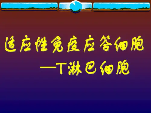 T细胞在胸腺中的发育二