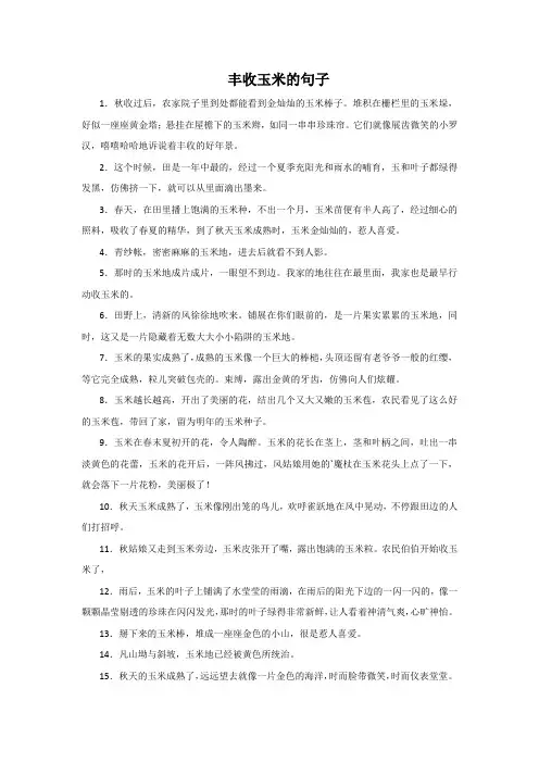 丰收玉米的句子