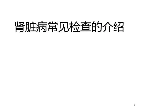 肾脏病常见检查的介绍