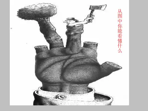新人教版七年级生物下册《第七章 人类活动对生物圈的影响  科学·技术·社会 退耕还林还草》课件_8