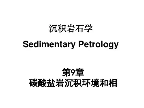 第9章 碳酸盐沉积环境