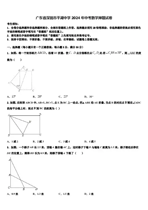 广东省深圳市平湖中学2024届中考数学押题试卷含解析