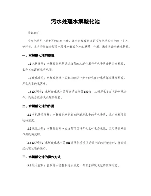 污水处理水解酸化池