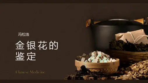 花类中药鉴定—金银花的鉴定