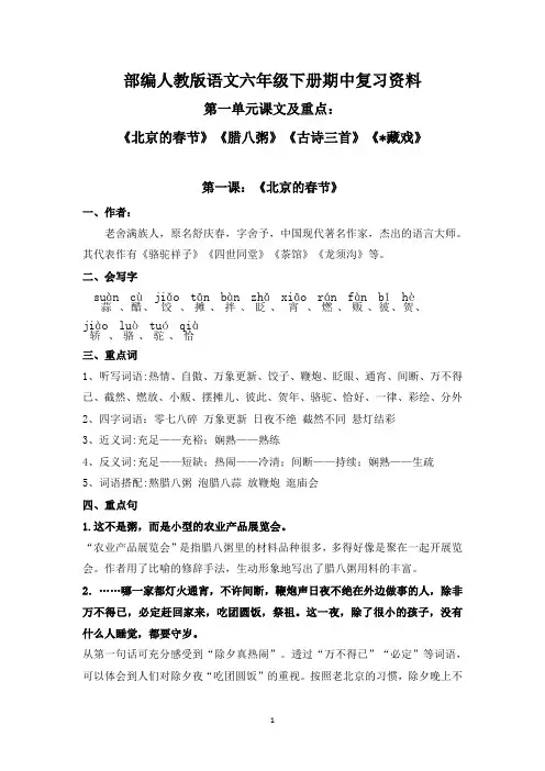 部编人教版语文六年级下册期中复习资料