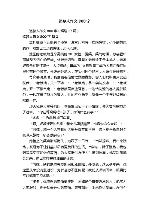 追梦人作文800字（精选27篇）