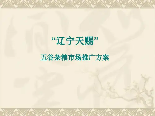 五谷杂粮市场推广方案